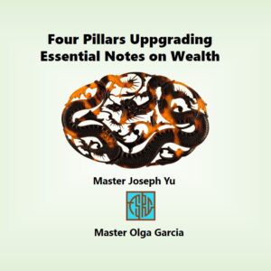 Four Pillars: Essential Notes  on Wealth
