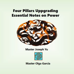 Four Pillars: Essential Notes  on Power